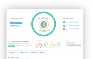 cluster view of service