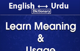 Offline English Urdu Dictionary screenshot 2