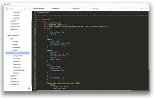 Chrome Dev Editor screenshot 1