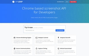 ApiLeap screenshot 1