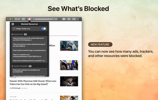 1Blocker screenshot 1