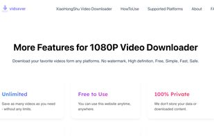 Features-1080P Video Downloader