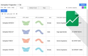 Google Fusion Tables screenshot 2