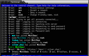 BitlBee in irssi inside screen.