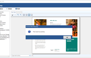 Word File Repaired Successfully