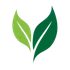 SoundLeaf icon
