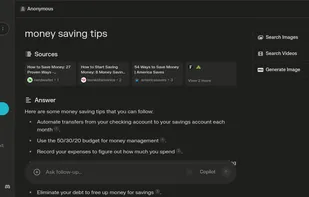 Perplexity screenshot 3