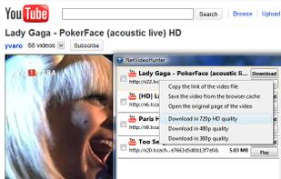 NetVideoHunter screenshot 3