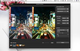 filmpack cross processed film