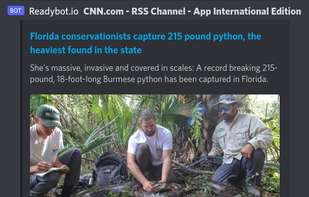 Readybot.io screenshot 1