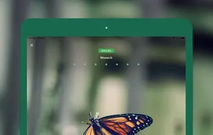 Seek by iNaturalist screenshot 1