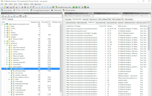 A1 Website Analyzer screenshot 1
