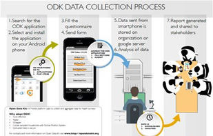 Open Data Kit screenshot 1