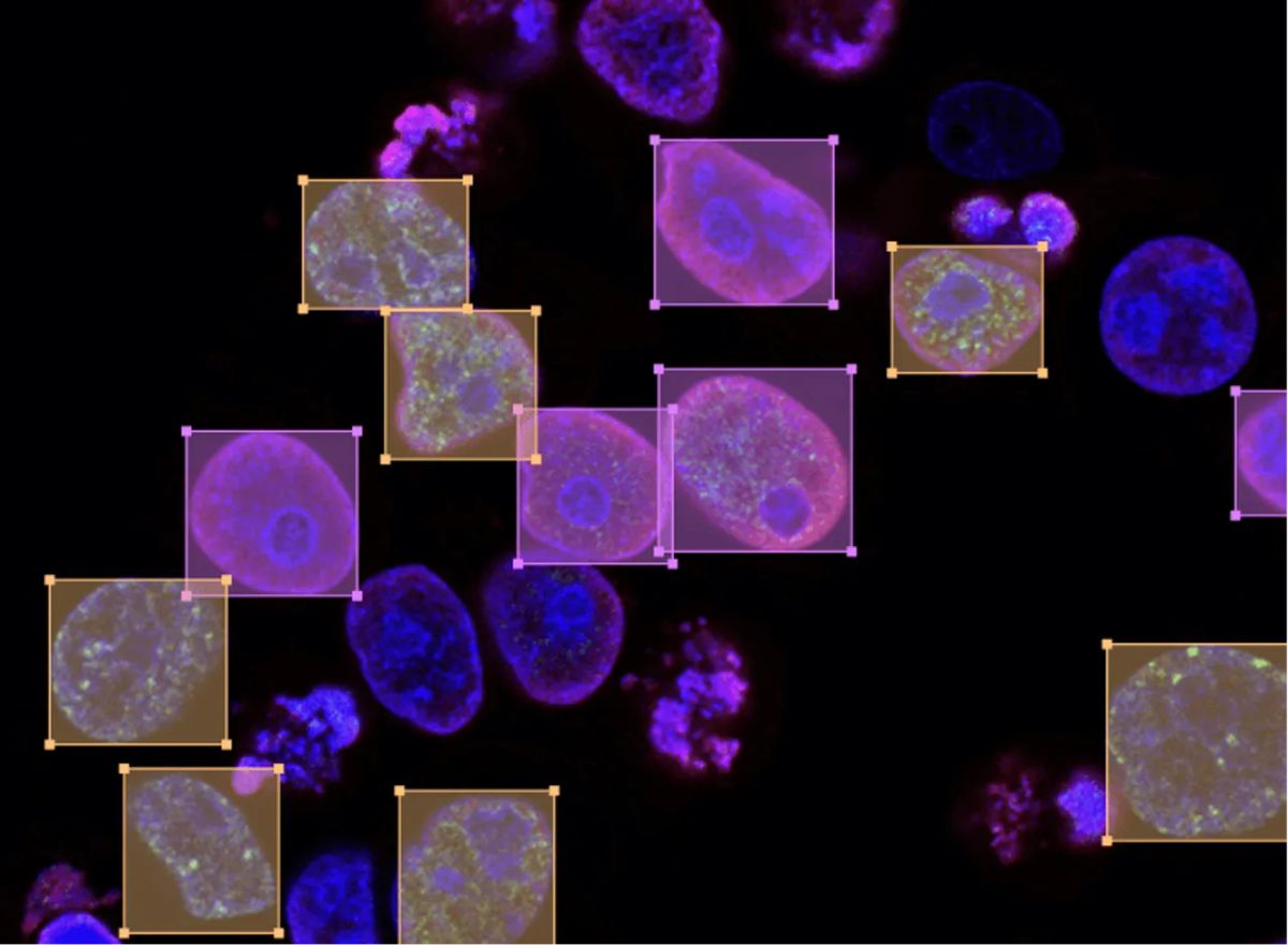 Label Studio Alternatives and Similar Apps & Services AlternativeTo