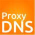 ProxyDNS icon