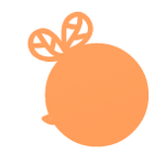 Magento 2 One Step Checkout icon