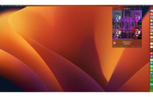 Dock Party screenshot 3