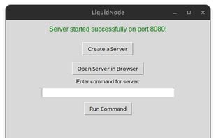 Your server that has started