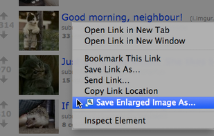 Thumbnail Zoom Plus screenshot 3