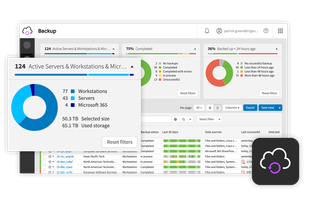 N-able Backup screenshot 1
