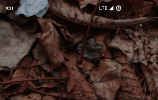 Peristyle screenshot 3