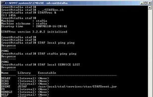 STAF screenshot 1