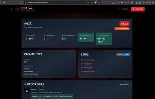 next js package overview for vulnerabilities