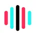 TikTok Voice icon