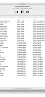 Tiny Player for Mac screenshot 1