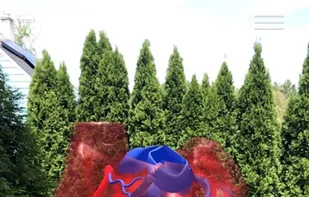 Reality Browser screen-cap - Animated translucent heart.