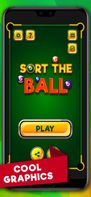 Pool Ball Sorting screenshot 2