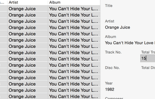 Swinsian screenshot 2