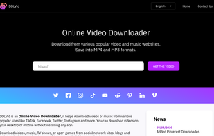 DDLVid - Online Video Downloader screenshot 1