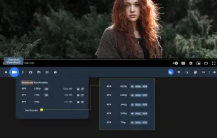 Addoncrop YouTube Video Downloader screenshot 1