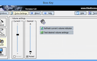 Anti Boss Key screenshot 3