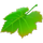 Breeze icon
