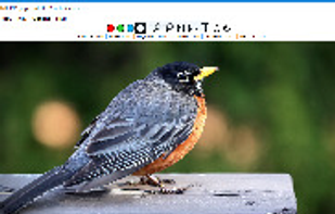Veneta Viewer screenshot 1