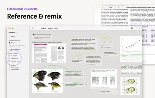 Muse Canvas screenshot 2