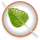Bodhi Linux icon
