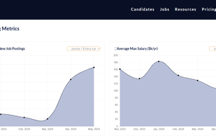 DataJobba screenshot 3