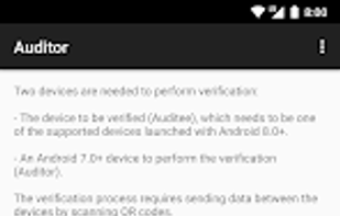 GrapheneOS Auditor screenshot 1