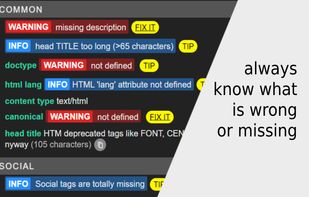 META SEO Inspector screenshot 1