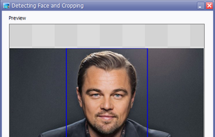 Face Crop Jet screenshot 1