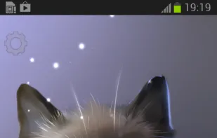 Peper Kitten Live Wallpaper screenshot 1