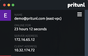 Pritunl Client screenshot 1