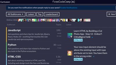 Review on SASS homepage - The freeCodeCamp Forum