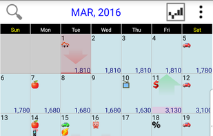 Budget Calendar on Android_view 1