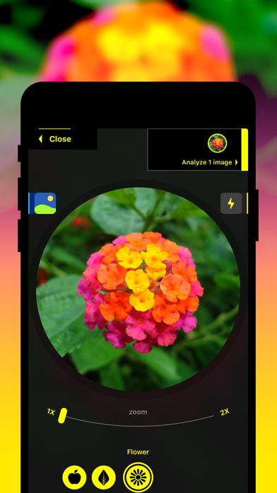 Plant Identification Alternatives and Similar Apps | AlternativeTo