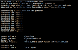 Apache Benchmark screenshot 1