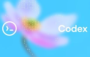 OpenAI Codex screenshot 1